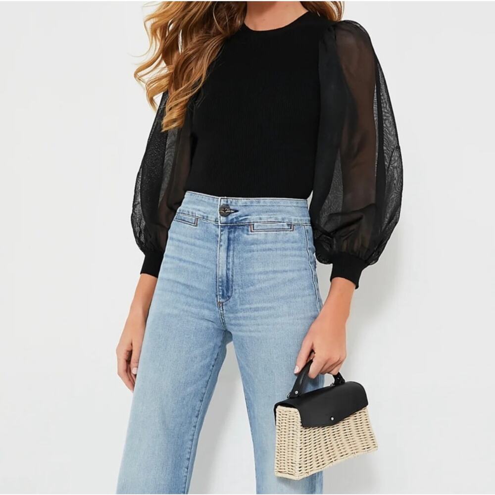 Tuckernuck Black Blouse with Sheer Sleeves